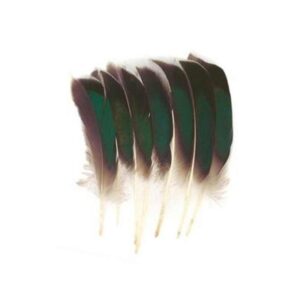 BAETIS MCGINTY QUILL