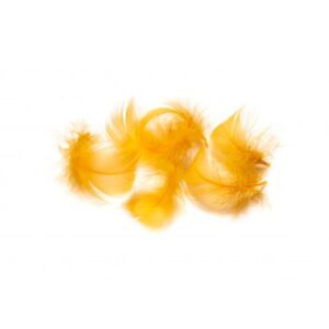 BAETIS ZAMJENSKI TOUCAN