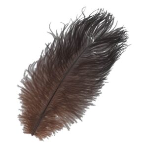 BAETIS OSTRICH MINI PLUMES MARRÓN