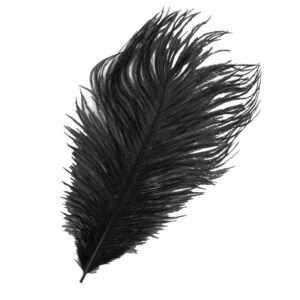 BAETIS OSTRICH MINI PLUMES NEGRO