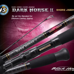 BLACK HOLE DARK HORSE II SHORE JIGGING S-1062M 3.2m max.70g PE3