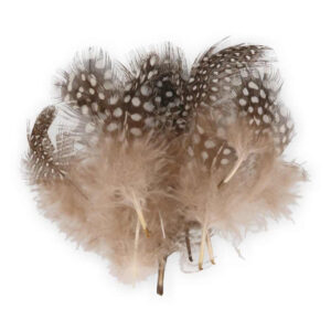 PERJE BAETIS PAUNOVA #PRIRODNO