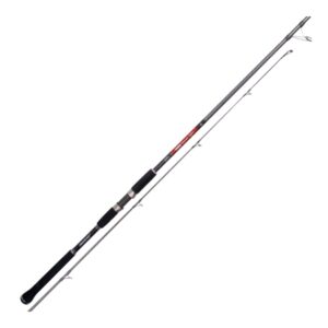 HART TORO POWER SPIN 10ft 40-90g