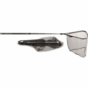 QUANTUM STREET ARMO OUT