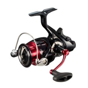 DAIWA AORI TRIAL BR LT 3000