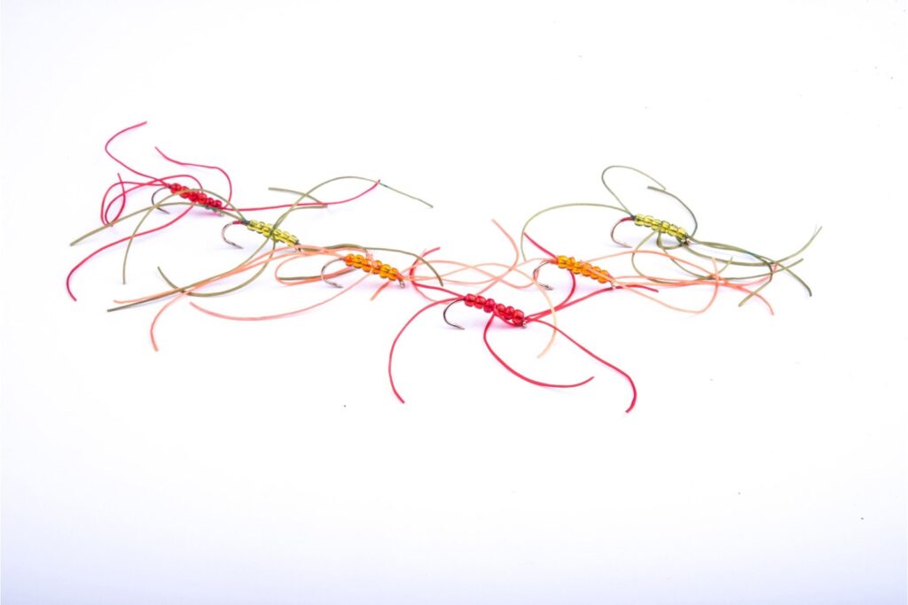 DRAGON CRAIGS WORMS