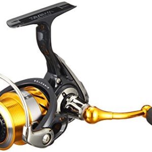 DAIWA 19 REVROS LT
