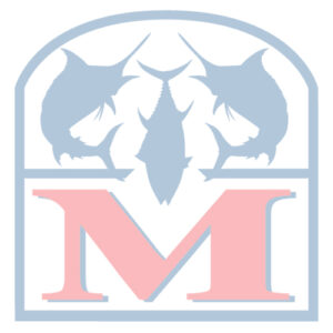 SHIMANO ULTEGRA 14000 XSE