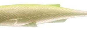 DAIWA DUCKFIN LIVESHAD 15cm 28g 2pcs