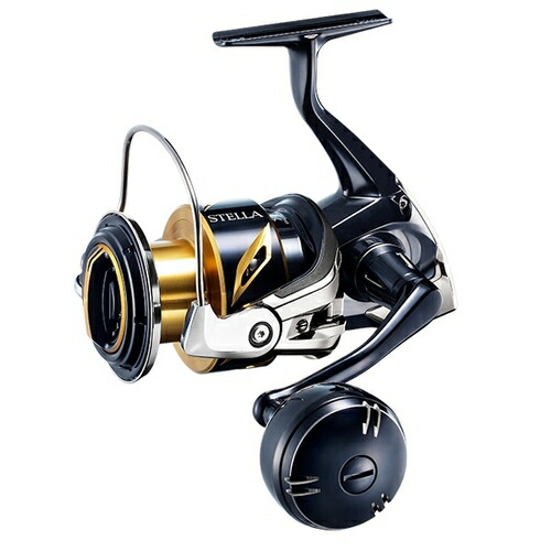 SHIMANO 20 STELLA SW 6000PGC