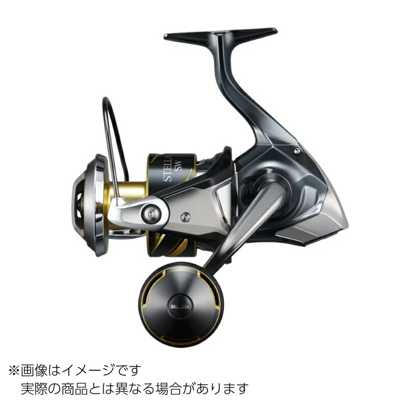 SHIMANO 25 STELLA SW 8000HG