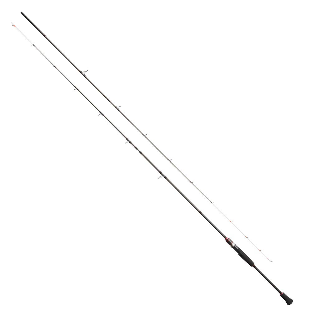 PROMARINE CB SALTY BOAT EGING S662ML max.70g