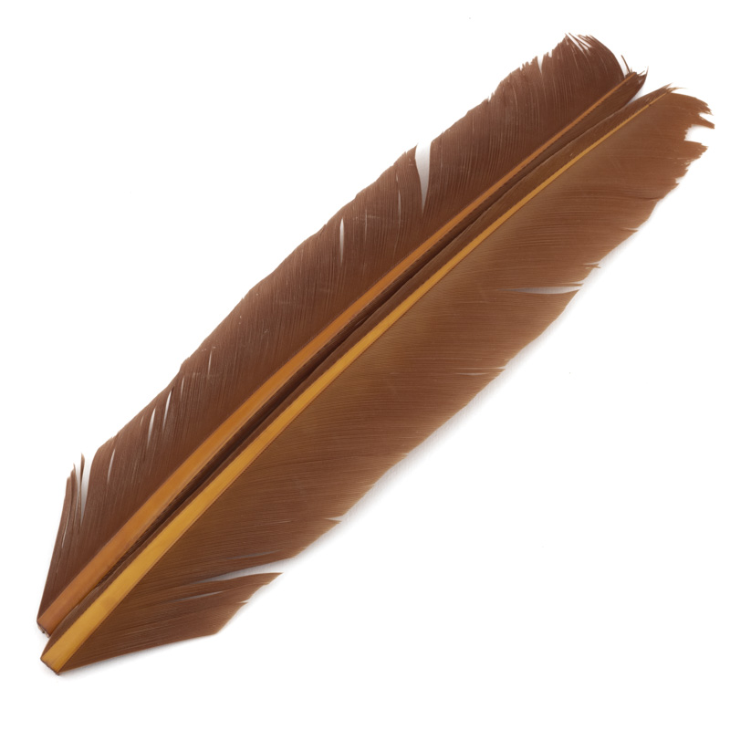 54 DEAN STREET TURKEY BIOT QUILL #BROWN