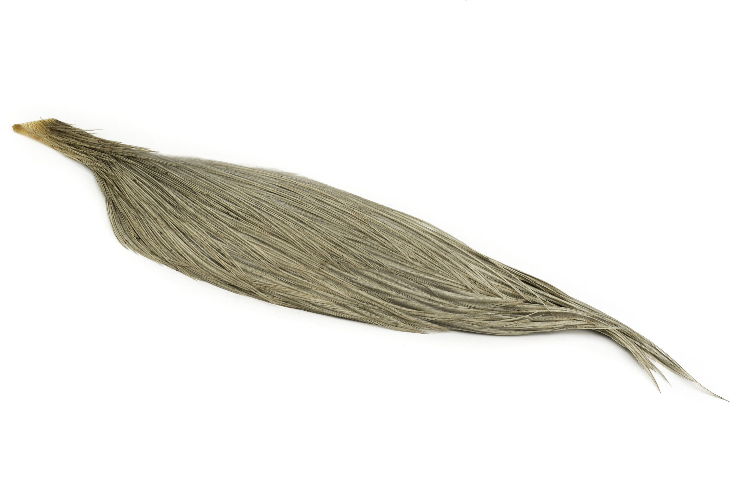 WHITING COCK CAPE 1/2 PRO DYED LIGHT DUN