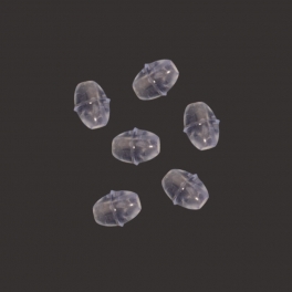 ASARI SOFT LUMINOUS CLEAR OVAL BEADS