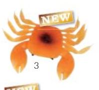 EVIA SMALL CRAB ORANGE