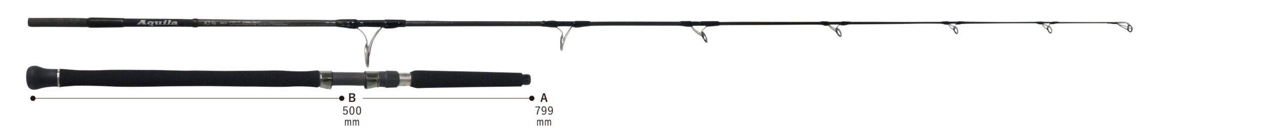 RIPPLE FISHER AQUILA MLT 82-3/6