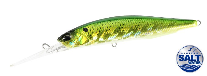 DUO REALIS JERKBAIT 100DRS SW 18g