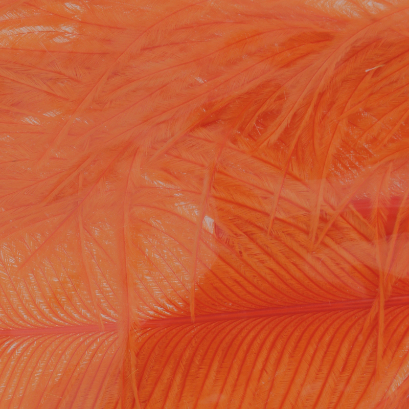 BAETIS OSTRICH HERL #ORANGE