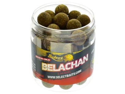 SELECT BAITS HOOKBAITS CRITIC BELACHAN