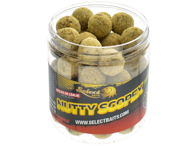 SELECT BAITS HOOKBAITS HARD NUTTY SCOPEX 20MM