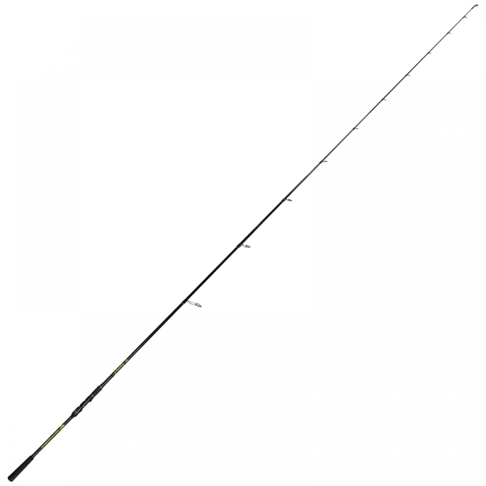 SEA MONSTERS LABRAX 2.9m 10-60g MAX PE2