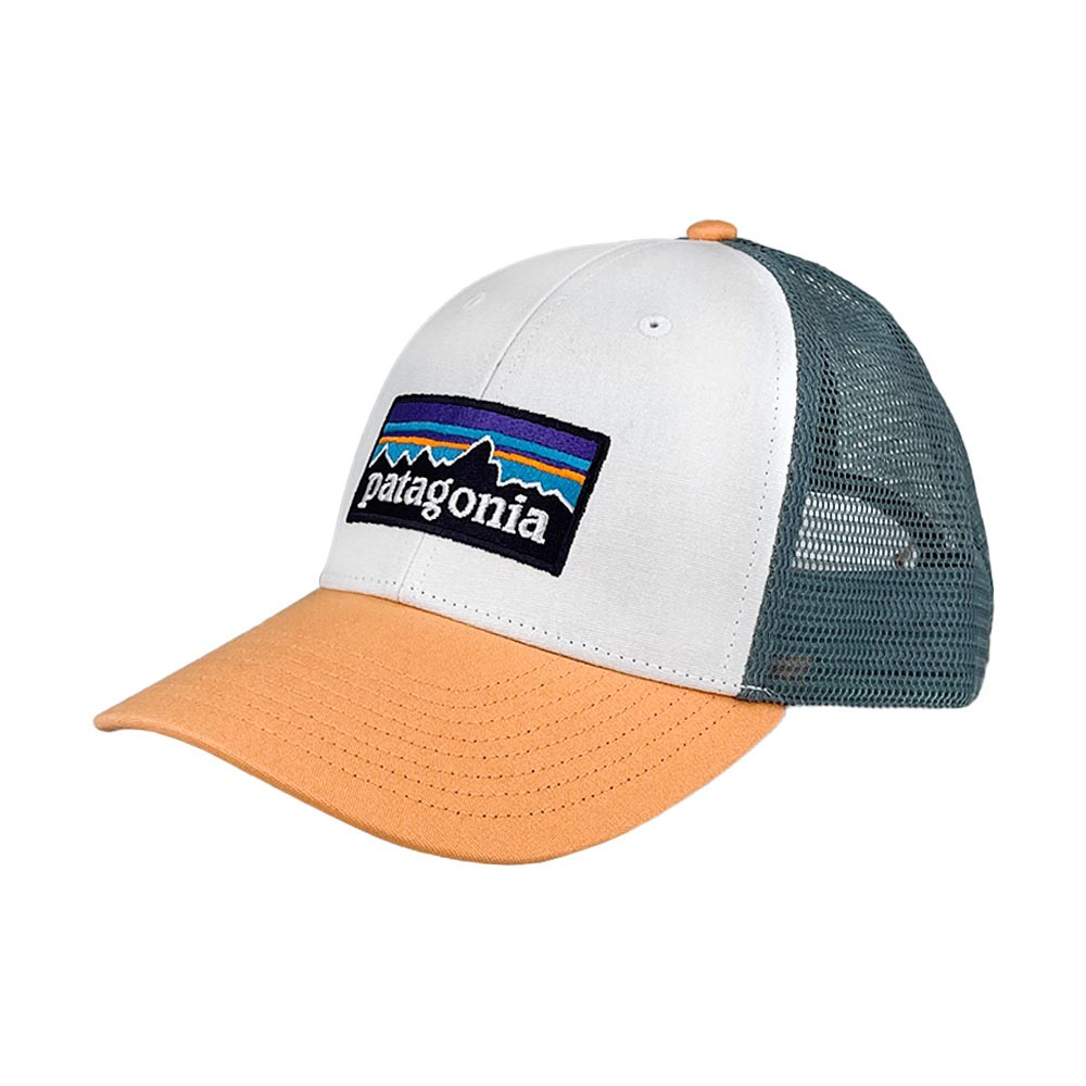PATAGONIA P-6 LOGO LOPRO TRUCKER HAT WTPE