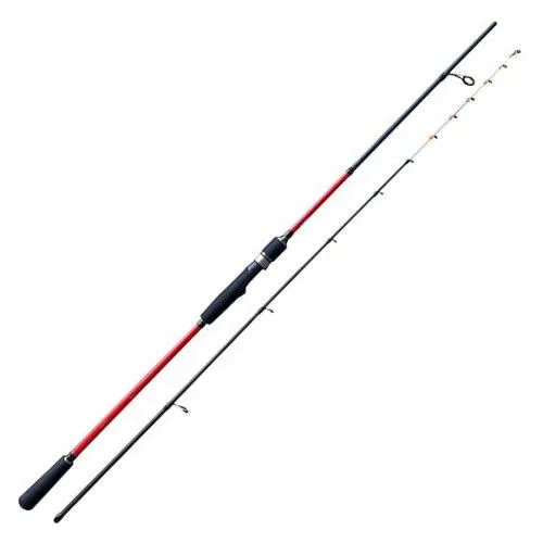 CASTED TATAKI IKA SQUID 2.02M 50-150G