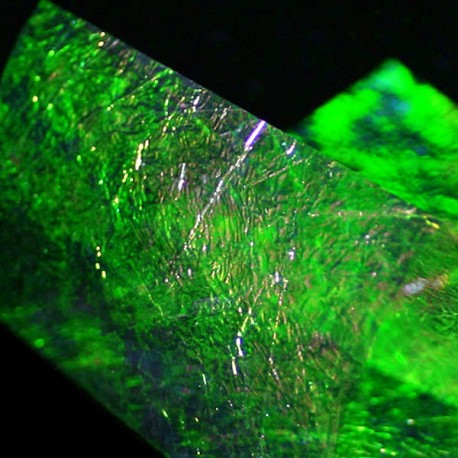 KNAPEK FINE FLASH BACK GREEN