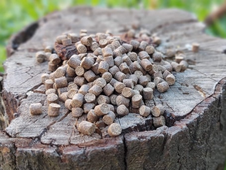 DUDI BAIT PELLETE FISH 1KG
