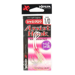 XESTA ASSIST