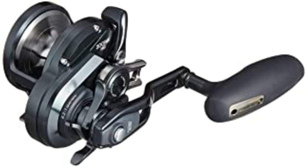 SHIMANO OCEA JIGGER F CUSTOM 2001NR LH