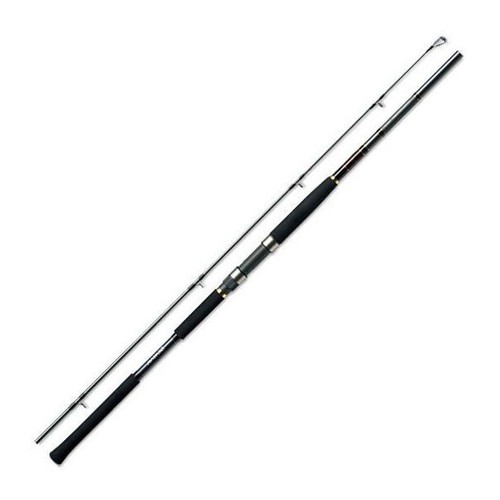 DAIWA JIGCASTER 96H