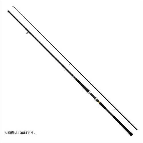 DAIWA JIGCASTER 100H-N 30-100g