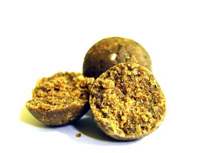 SELECT BAIT FRESH BOILIES MUSSEL & BELACHAN 1KG 20MM SOLUBILE