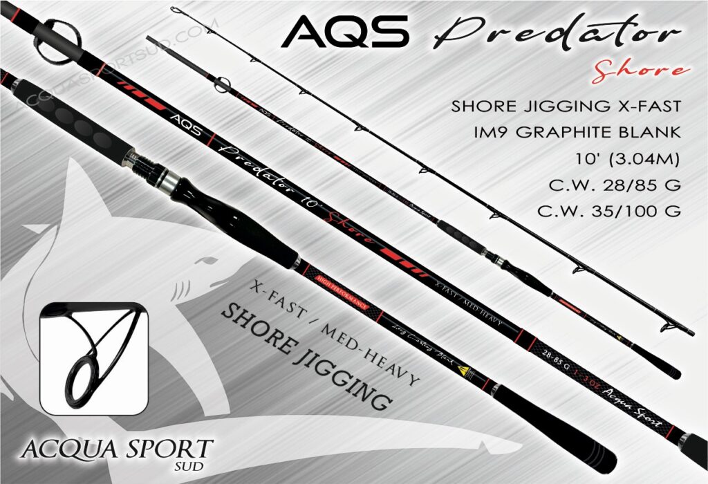 AQS PREDATOR SHORE SPINNING ROD 3.04M 35-100G