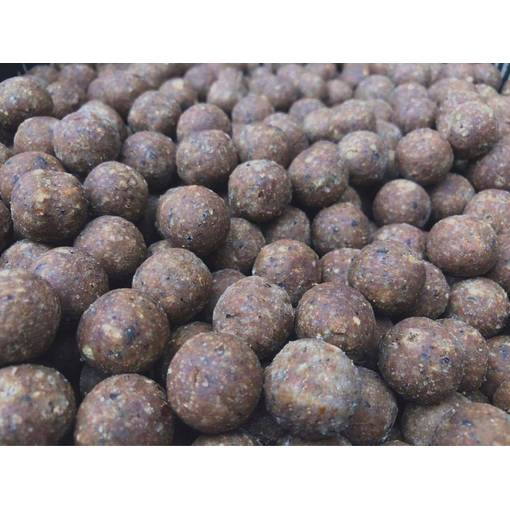 ARCTIC BAITS BOILIES SQUID 1KG 14MM