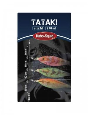 JATSUI KABO TATAKI FLUOROCARON RIG M 240CM